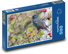 Adult spitz - bird, tree Puzzle of 500 pieces - 46 x 30 cm 