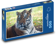 Amur-Tiger - Raubtier, Jäger Puzzle 500 Teile - 46 x 30 cm