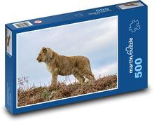 Lvíče - mládě, lev Puzzle 500 dílků - 46 x 30 cm
