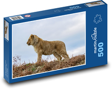 Löwenjunges - Jungtier, Löwe Puzzle 500 Teile - 46 x 30 cm