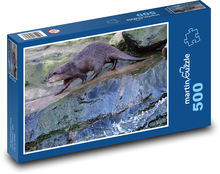 Vydra - voda, zvíře Puzzle 500 dílků - 46 x 30 cm