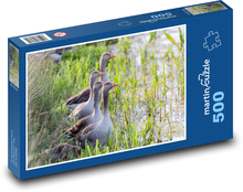 Kanadagänse - Wasser, See Puzzle 500 Teile - 46 x 30 cm