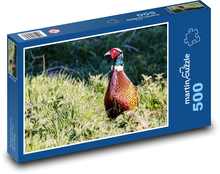 Pheasant - bird, hunting Puzzle of 500 pieces - 46 x 30 cm 