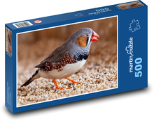 Zebřička pestrá - pták, zobák Puzzle 500 dílků - 46 x 30 cm