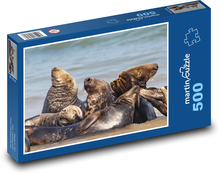 Common seal - animals, sea Puzzle of 500 pieces - 46 x 30 cm 
