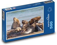 Foka pospolita - zwierzęta, morze Puzzle 500 elementów - 46x30 cm