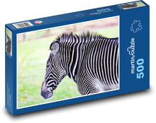 Zebra - safari, paski Puzzle 500 elementów - 46x30 cm
