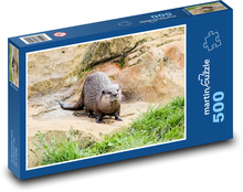 Wydra, ogród zoologiczny, zwierzę Puzzle 500 elementów - 46x30 cm