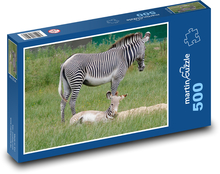 Zebra - mláďa, Afrika Puzzle 500 dielikov - 46 x 30 cm 