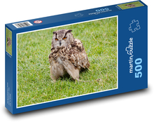 Nocna sowa - drapieżnik, myśliwy Puzzle 500 elementów - 46x30 cm