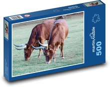 Ankole kráva - rohatá kráva, Afrika Puzzle 500 dílků - 46 x 30 cm