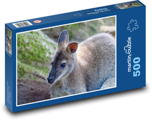 Kangaroo - marsupial, animal Puzzle of 500 pieces - 46 x 30 cm 