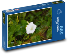 Morning glory - white flower, plant Puzzle of 500 pieces - 46 x 30 cm 
