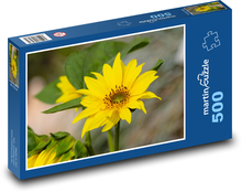 Sunflower - yellow flower, flower Puzzle of 500 pieces - 46 x 30 cm 