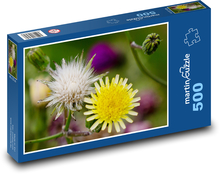 Podbrzusze żółte - kwiat, roślina Puzzle 500 elementów - 46x30 cm