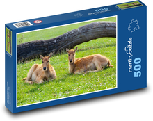 Jelen - zvíře, odpočívat Puzzle 500 dílků - 46 x 30 cm