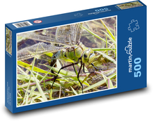 Imperial dragonfly - insects, wings Puzzle of 500 pieces - 46 x 30 cm 