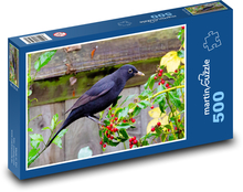 Kos černý - pták, zobák Puzzle 500 dílků - 46 x 30 cm