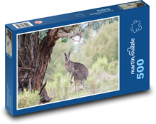 Grey kangaroo - Australia, animal Puzzle of 500 pieces - 46 x 30 cm