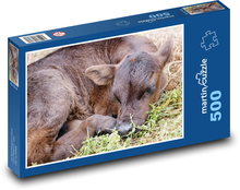 Tele - mladá krava, zviera Puzzle 500 dielikov - 46 x 30 cm 