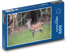 Hirsch - Tier, Wald Puzzle 500 Teile - 46 x 30 cm