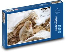 Japanese macaque - snow monkey, winter Puzzle of 500 pieces - 46 x 30 cm 