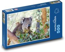 Koala na drzewie - torbacz, zwierzę Puzzle 500 elementów - 46x30 cm