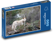 Dingo - dog, animal Puzzle of 500 pieces - 46 x 30 cm 