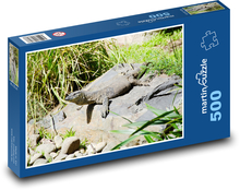 Varan - plaz, jašterica Puzzle 500 dielikov - 46 x 30 cm