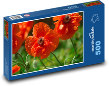 Mak - czerwone kwiaty, łąka Puzzle 500 elementów - 46x30 cm