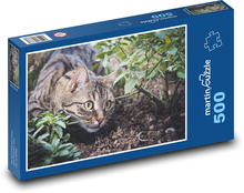 Mourovatá kočka - číhat, zahrada Puzzle 500 dílků - 46 x 30 cm