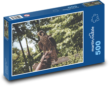Falke - Vogel, Raubtier Puzzle 500 Teile - 46 x 30 cm