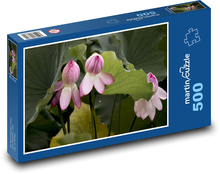Seerose - Wasserblume, Blume Puzzle 500 Teile - 46 x 30 cm