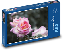 Rosa Rose - Blume, Botanik Puzzle 500 Teile - 46 x 30 cm