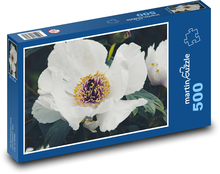 Pivonka biela - okvetné lístky, kvet Puzzle 500 dielikov - 46 x 30 cm 
