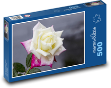 Květ růže - květina, růžový květ  Puzzle 500 dílků - 46 x 30 cm