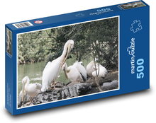 Pelikáni - ptactvo, rybník Puzzle 500 dílků - 46 x 30 cm