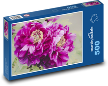 Lila Pfingstrose - Blume, Garten Puzzle 500 Teile - 46 x 30 cm