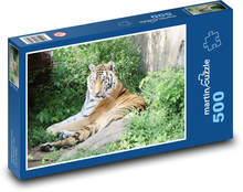 Tiger - zviera, zoo Puzzle 500 dielikov - 46 x 30 cm 
