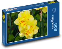 Żółte żonkile - kwiaty, botanika Puzzle 500 elementów - 46x30 cm