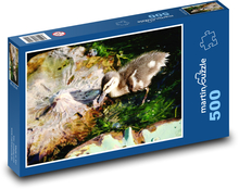 Divoká kachna - pták, voda Puzzle 500 dílků - 46 x 30 cm