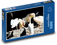 Pelikany - ptaki, zwierzęta Puzzle 500 elementów - 46x30 cm