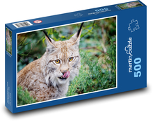 Ryś - zwierzę, kot Puzzle 500 elementów - 46x30 cm
