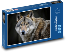 Vlk - divoké zvíře, savec Puzzle 500 dílků - 46 x 30 cm
