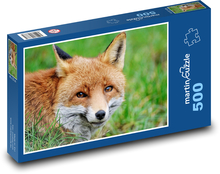 Zardzewiały lis - dzikie zwierzę, ssak Puzzle 500 elementów - 46x30 cm