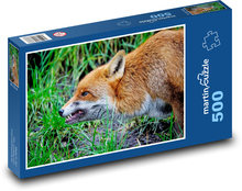 Lis - dzikie zwierzę, ssak Puzzle 500 elementów - 46x30 cm