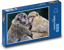 Barbarská opice - makak, rodina Puzzle 500 dílků - 46 x 30 cm