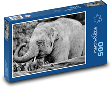 Slon indický - slůně, zvíře Puzzle 500 dílků - 46 x 30 cm