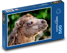 Zweihöckriges Kamel - Tier, Kopf Puzzle 500 Teile - 46 x 30 cm