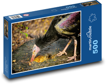 Ibis - vták, zviera Puzzle 500 dielikov - 46 x 30 cm 